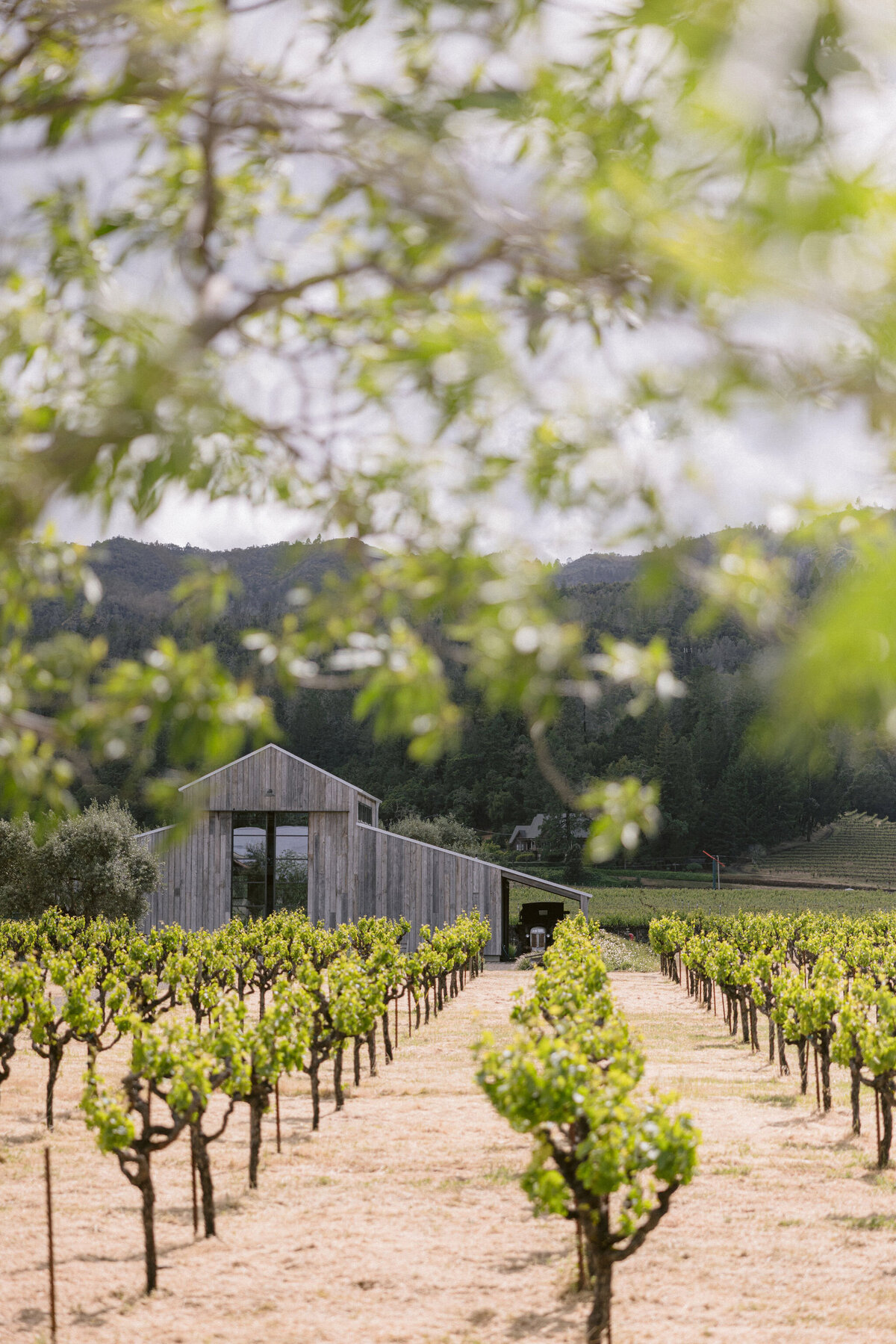larissa-cleveland-photographer-napa-california-wine-country-wedding-private-estate-005
