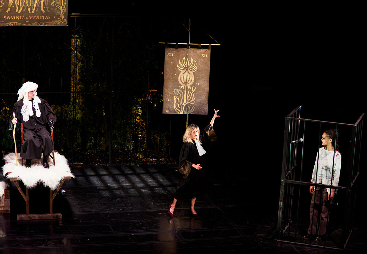 ROBIN  TPV_2130268-2-Enhanced-NR