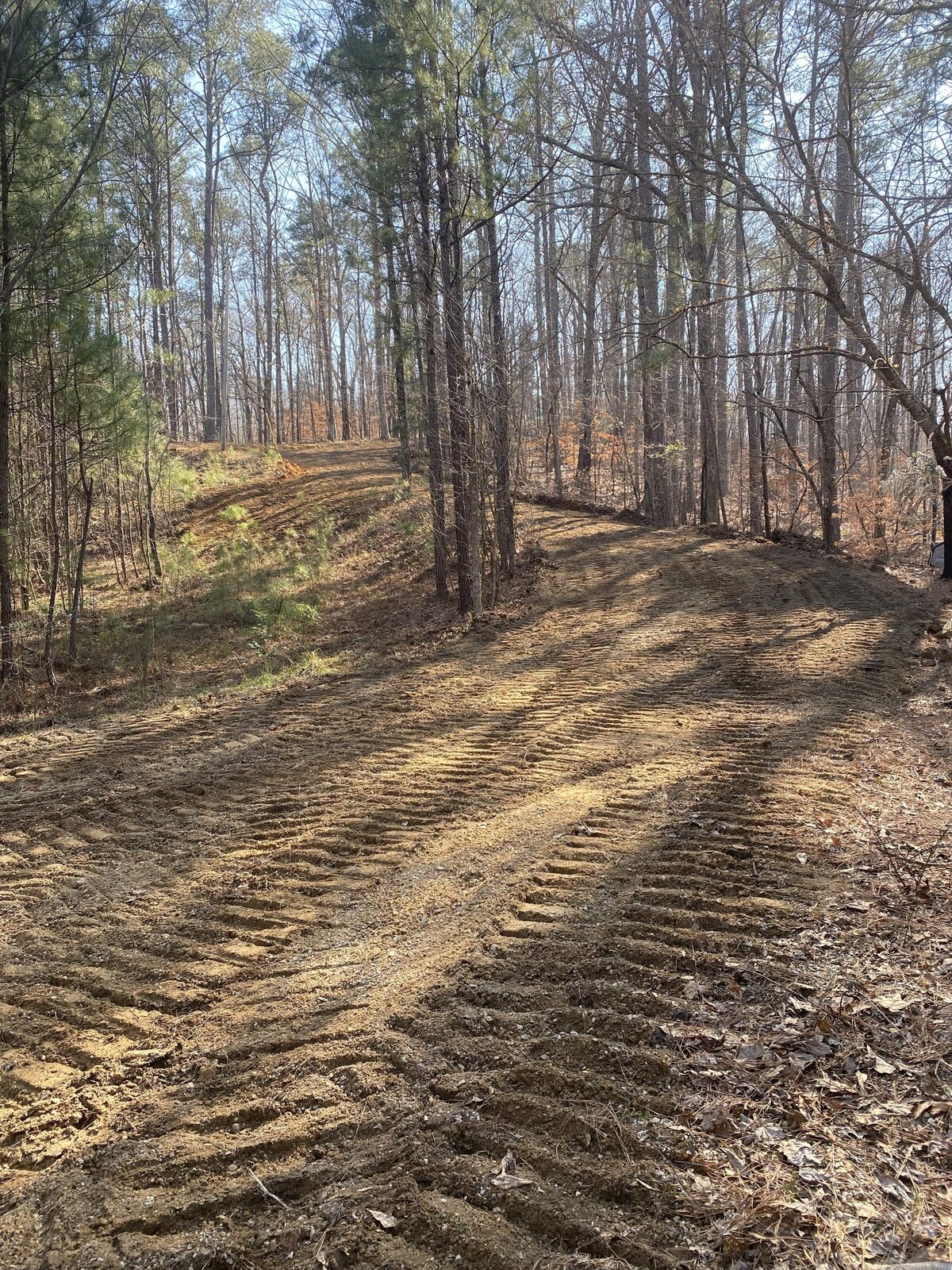 tire-tracks-through-dirt-floor-in-the-woods