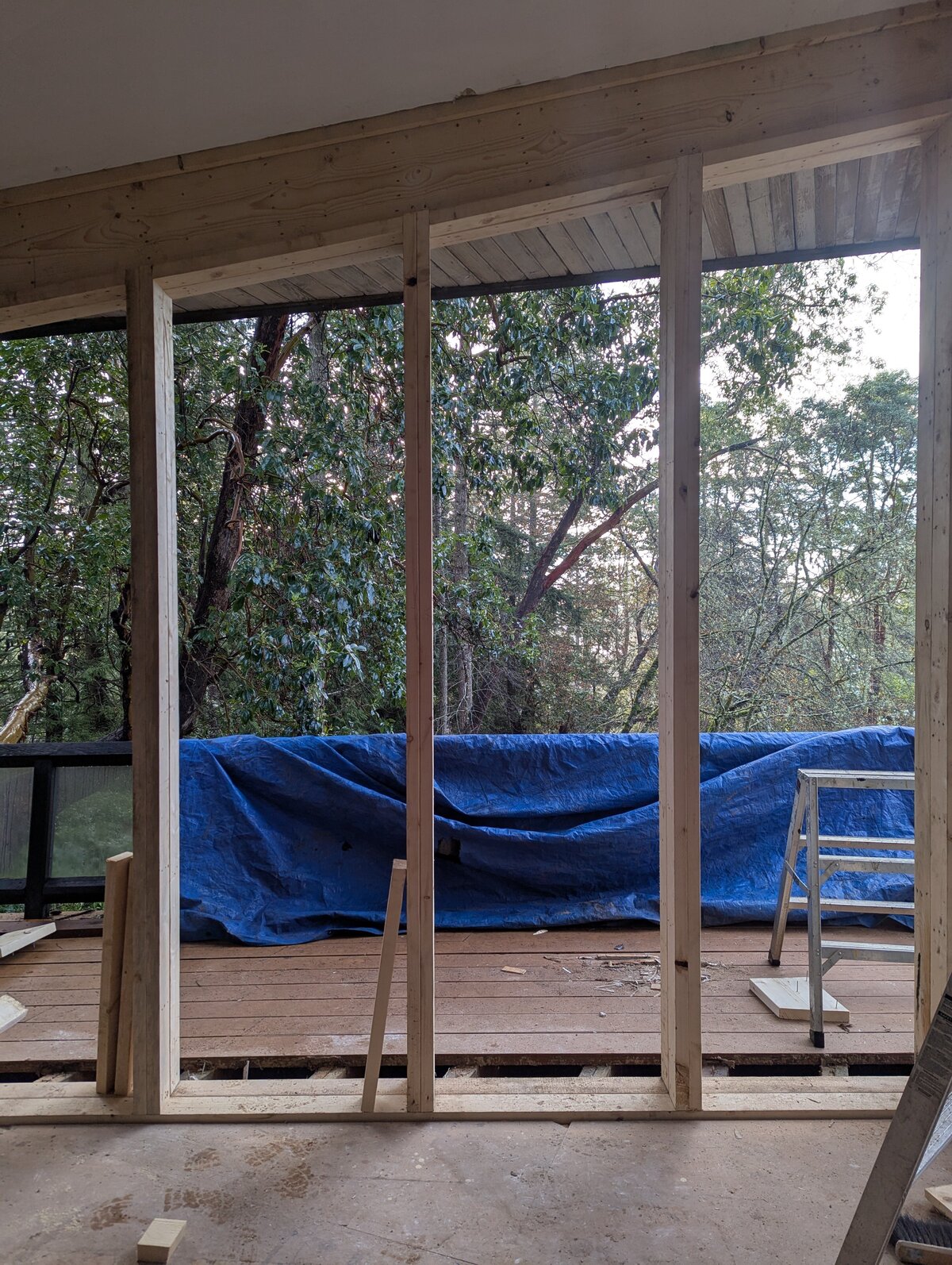 PXL_20250110_173527059