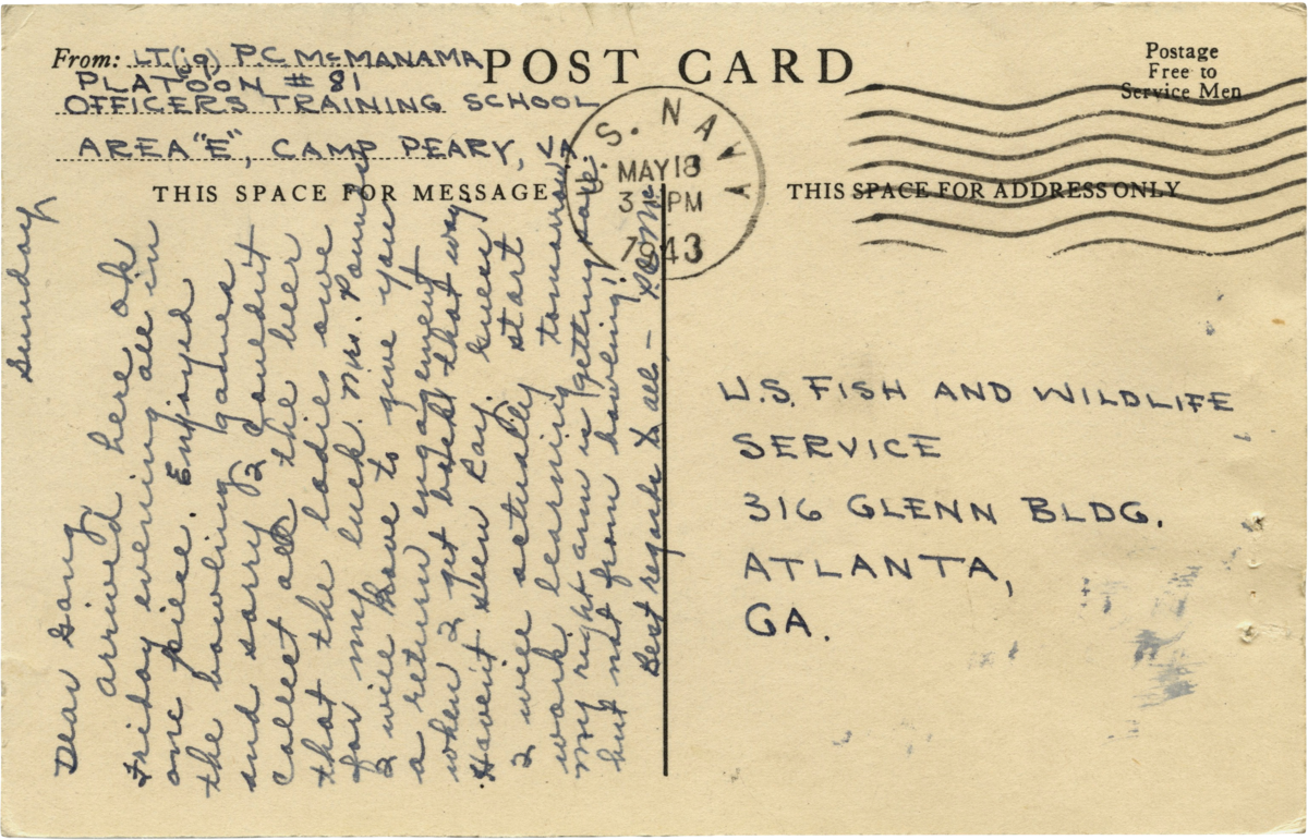Vintage post card graphic