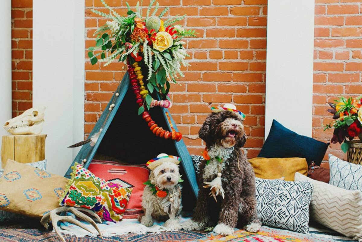 southwest_party_0003