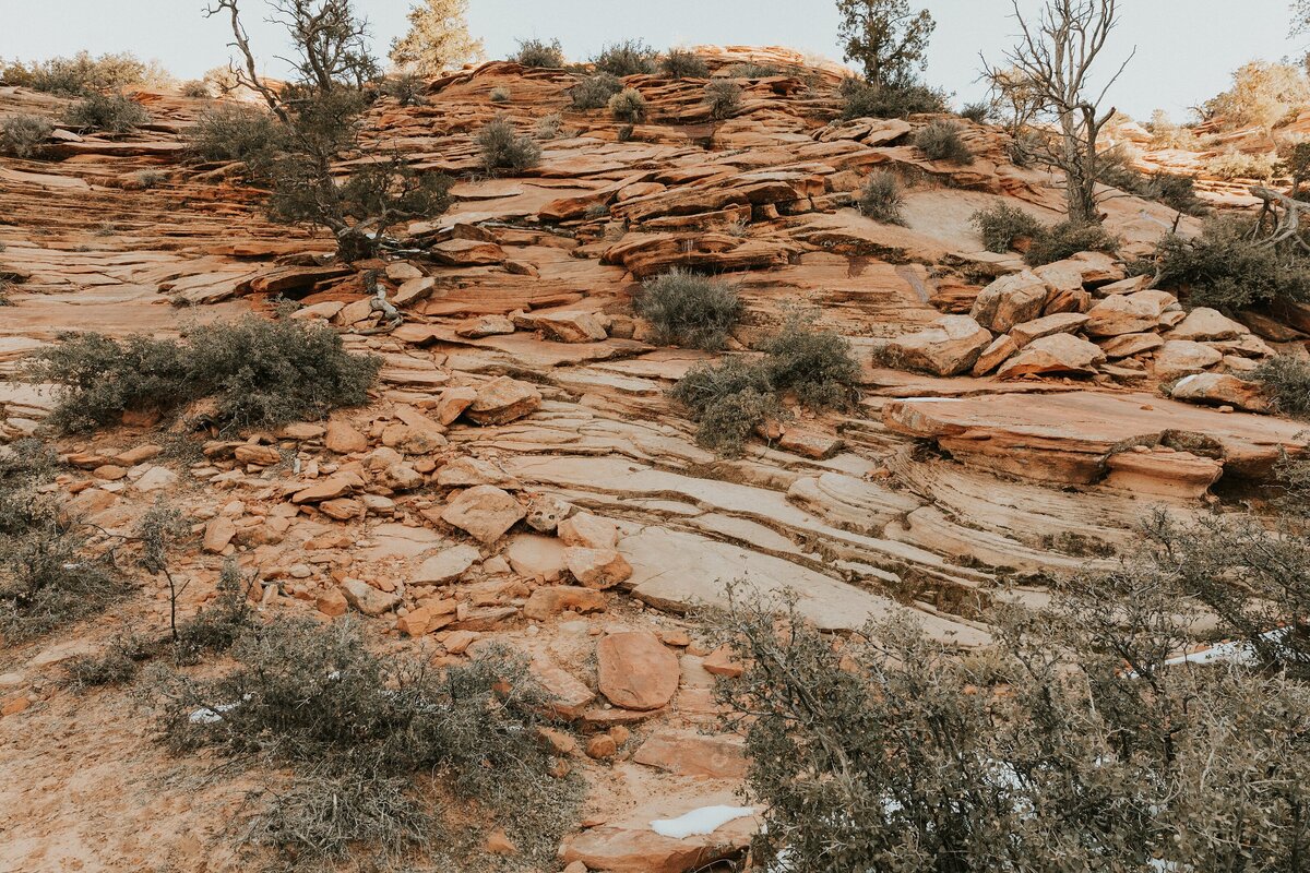 Zion-National-Park-9