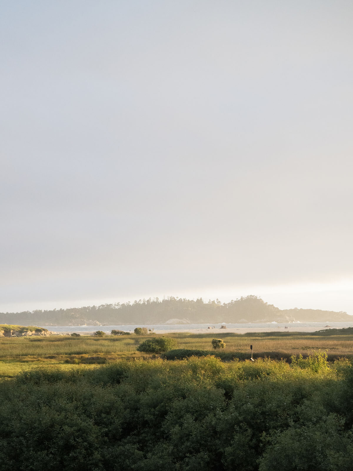 amandacallawayphoto-515