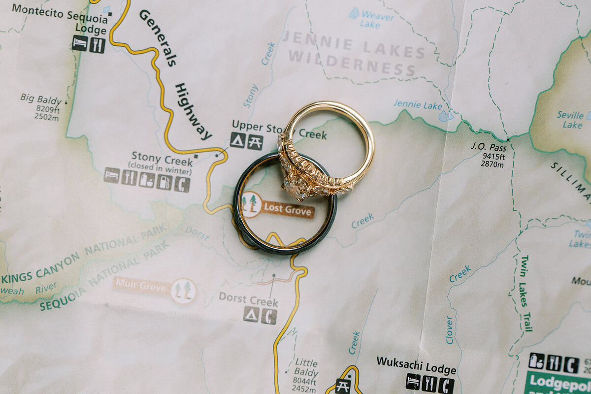 Kimberly and Keith Elopement in Sequoia-371_websize