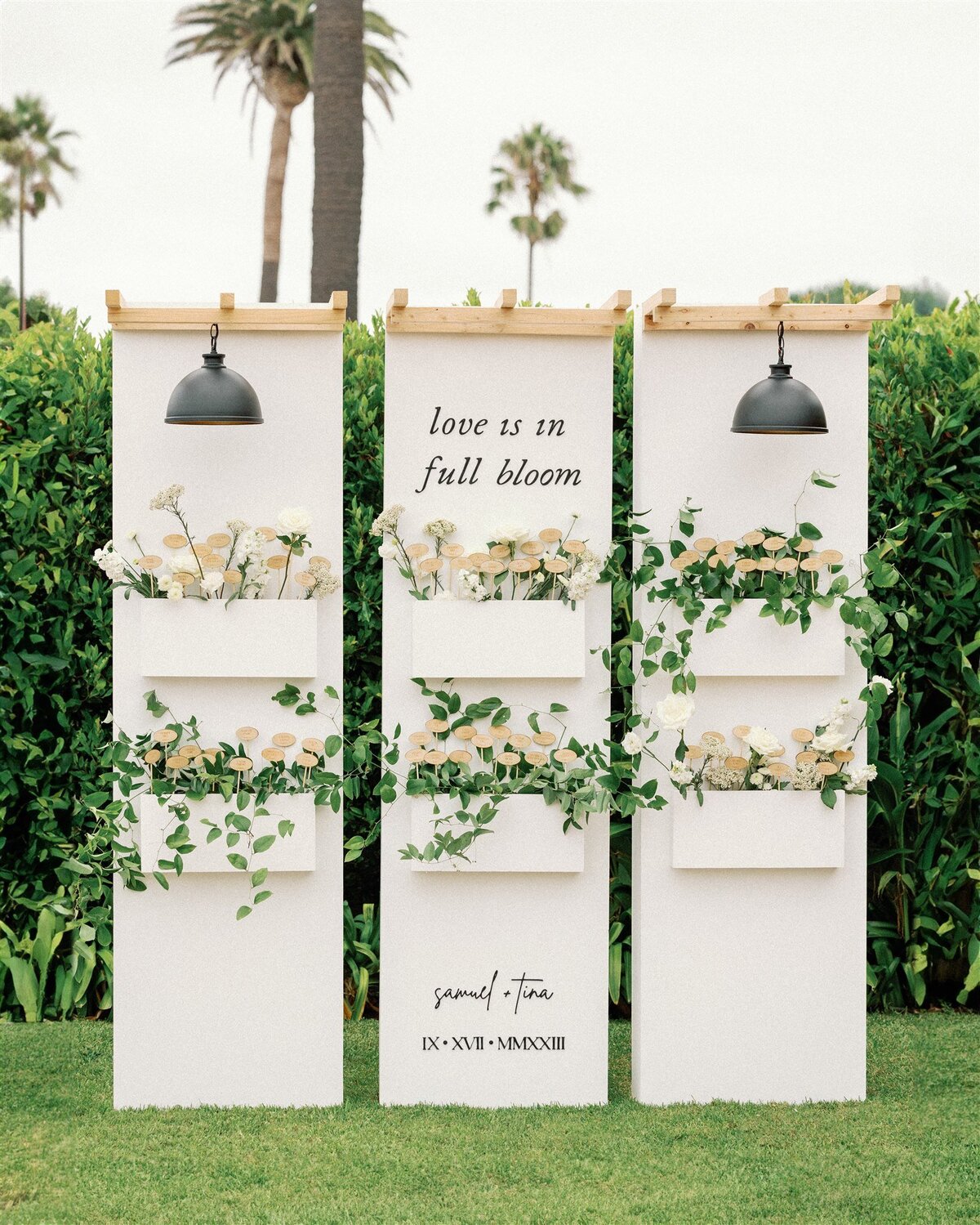 jarrodjphoto-988