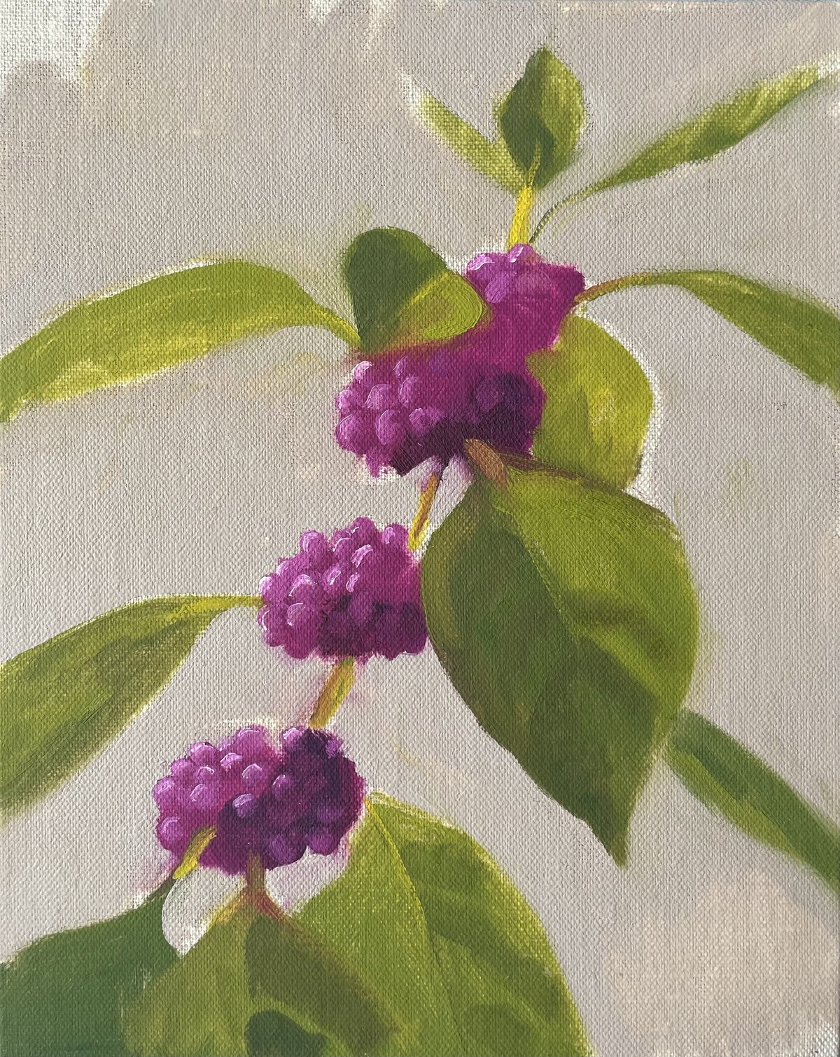 American Beautyberry