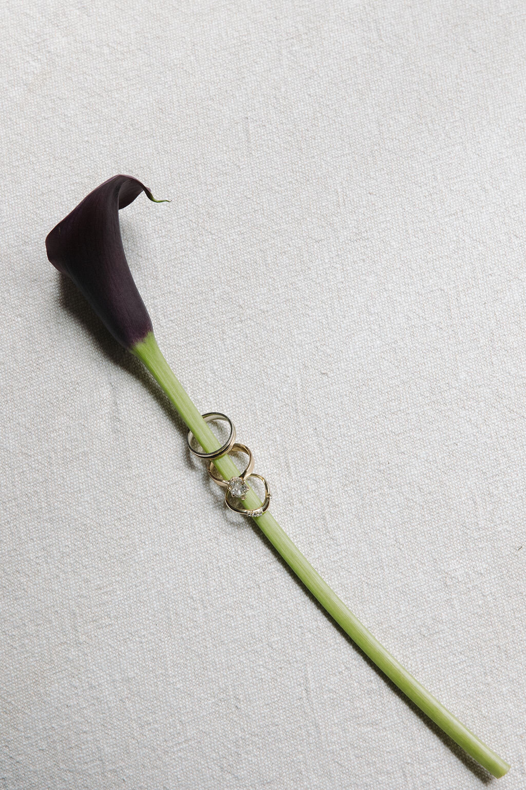 meagan-hilss-events-getting-ready-details