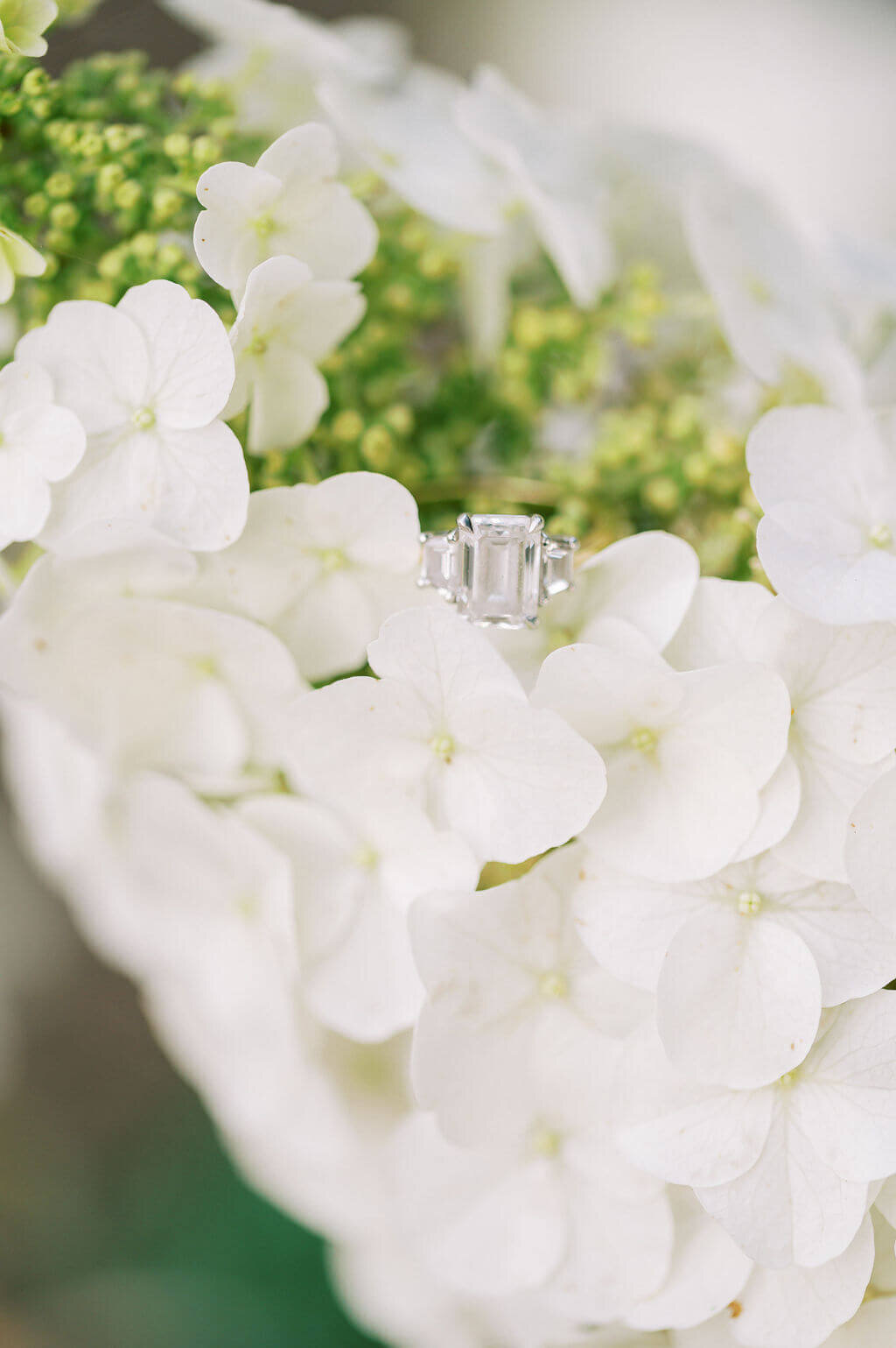 Detail image of a diamond ring tucked into a white hydrangea, captured by Rachael Mattio, a DC wedding photographer