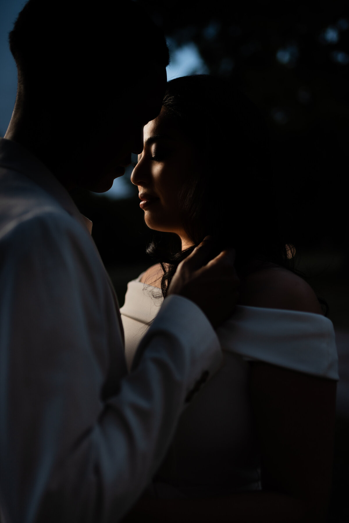 Dundurn Castle hamilton engagement shoot Cam Pris 29