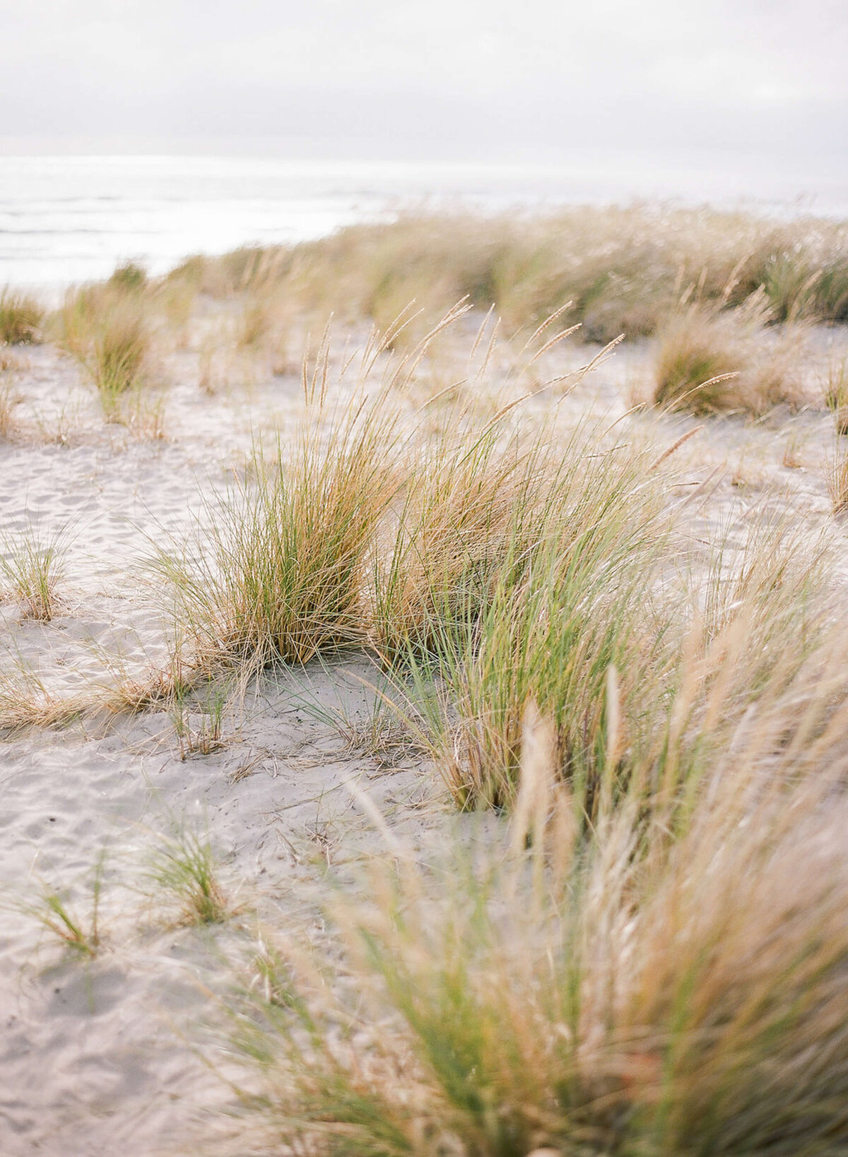 cannon-beach-oregon-engagement-sesison-clay-austin-photography-02