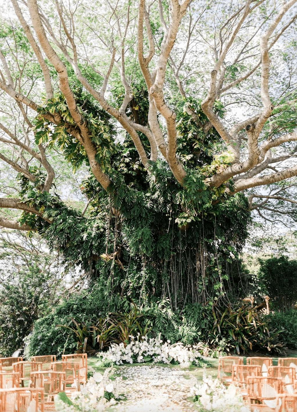 Screenshot 2025-11-25 at 8.54.44 AM