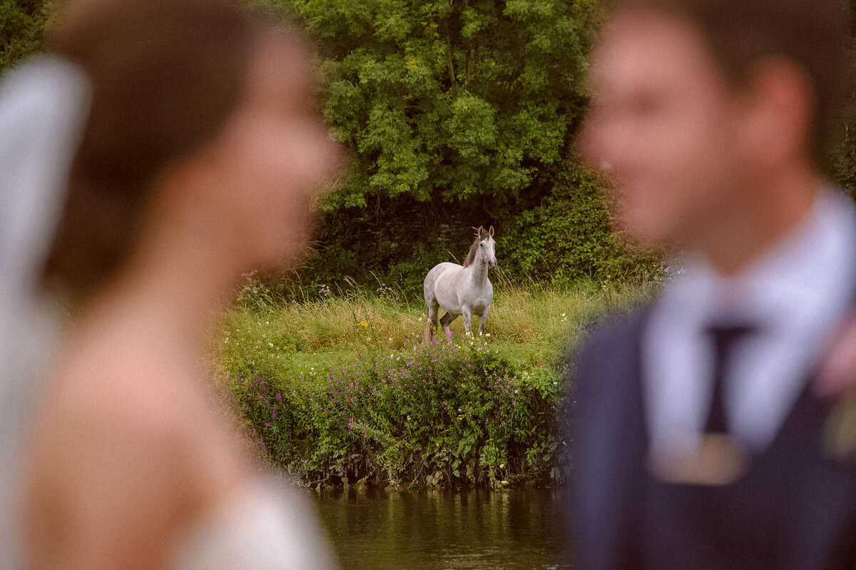 109 horse-see-wedding-couple-kilkenny
