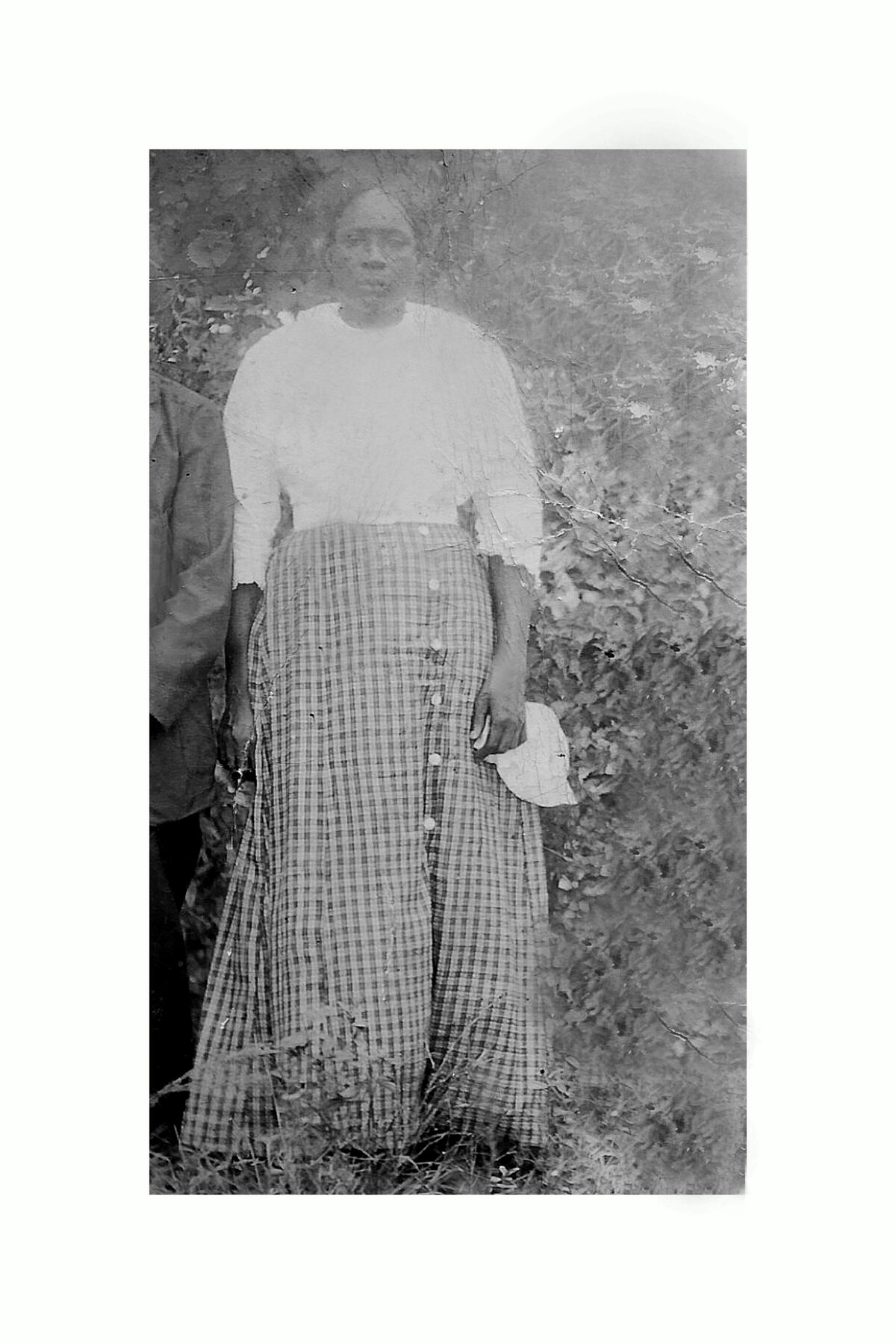 Slave  and Cotton field photo  of granny Mo Davis Photography