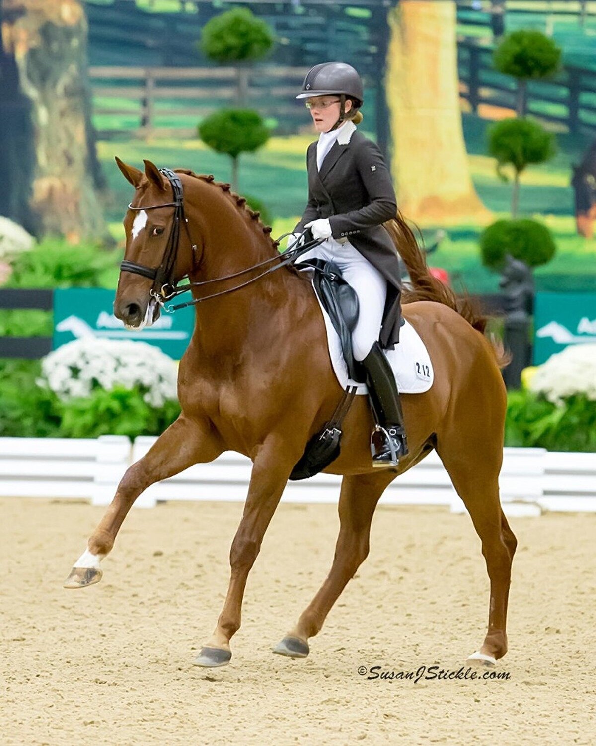 jessie-paine-jp-dressage-7