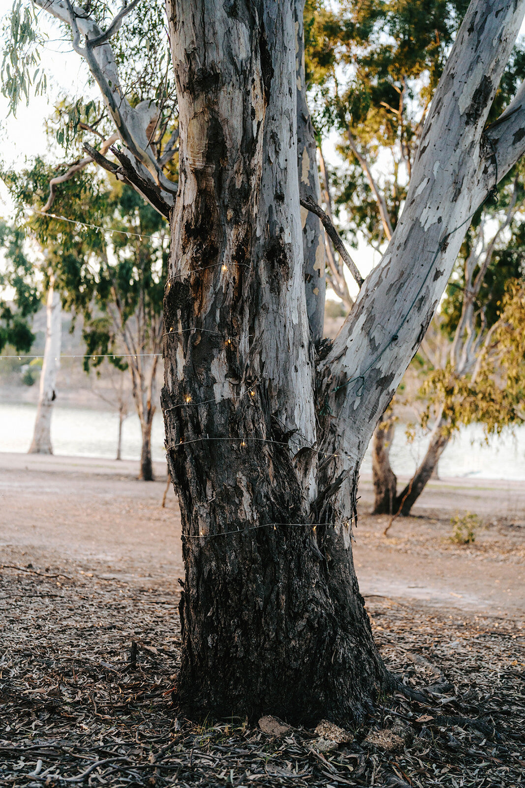 nicky-james-burnt-creek-wedding-0960