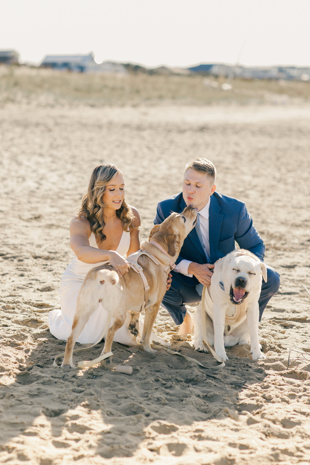 Kelsey & Dan_Wedding_Bride & Groom with Dogs-1024