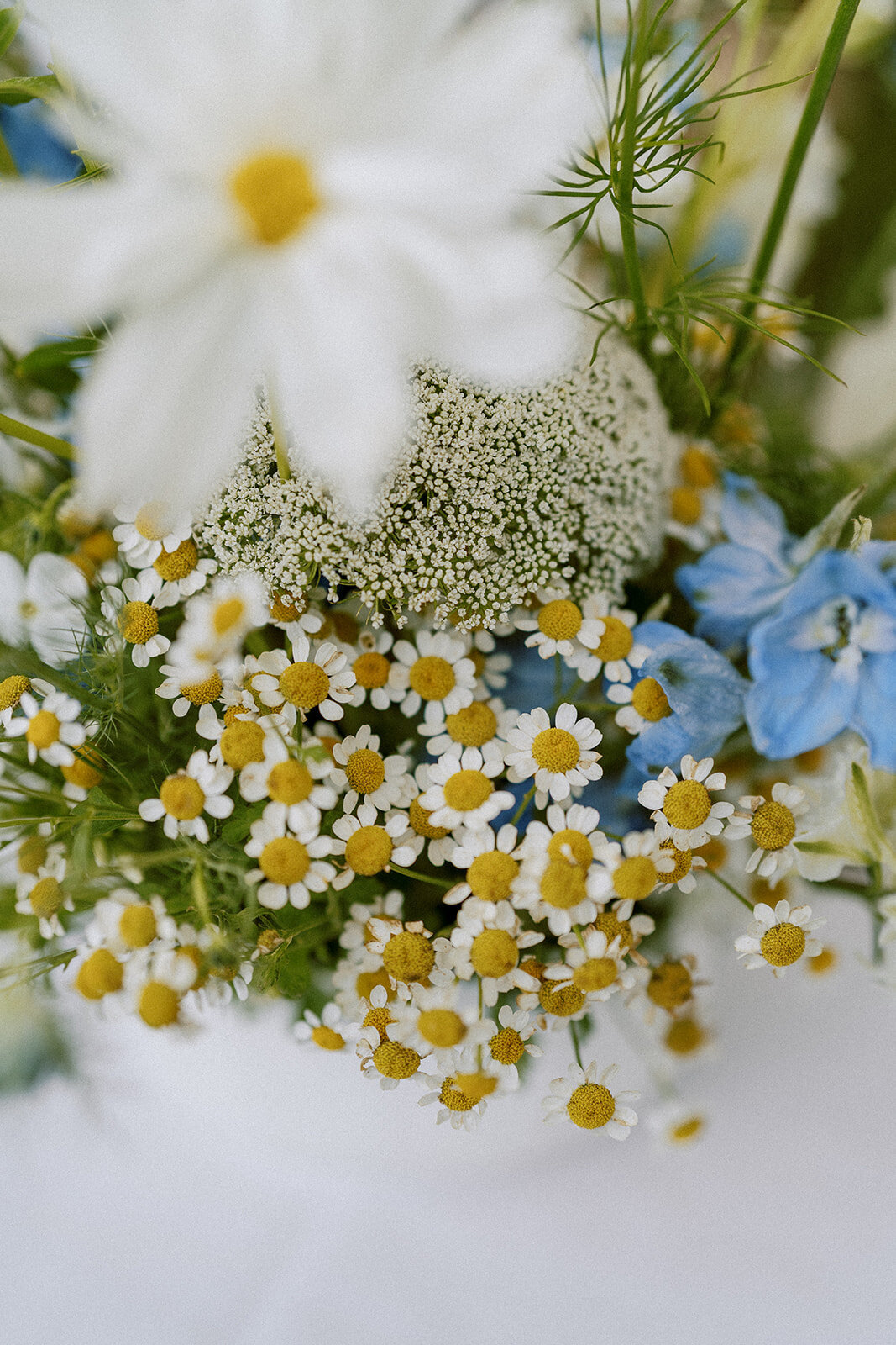 a+s_wedding-207