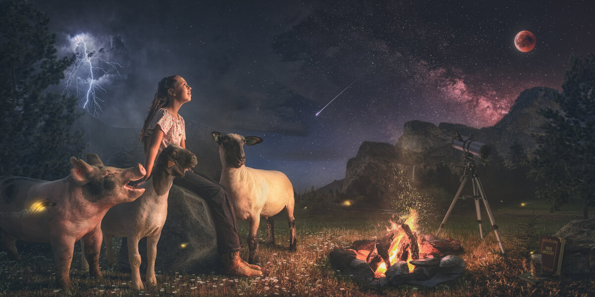 girl watching stars by campfire with pig goat and lamb