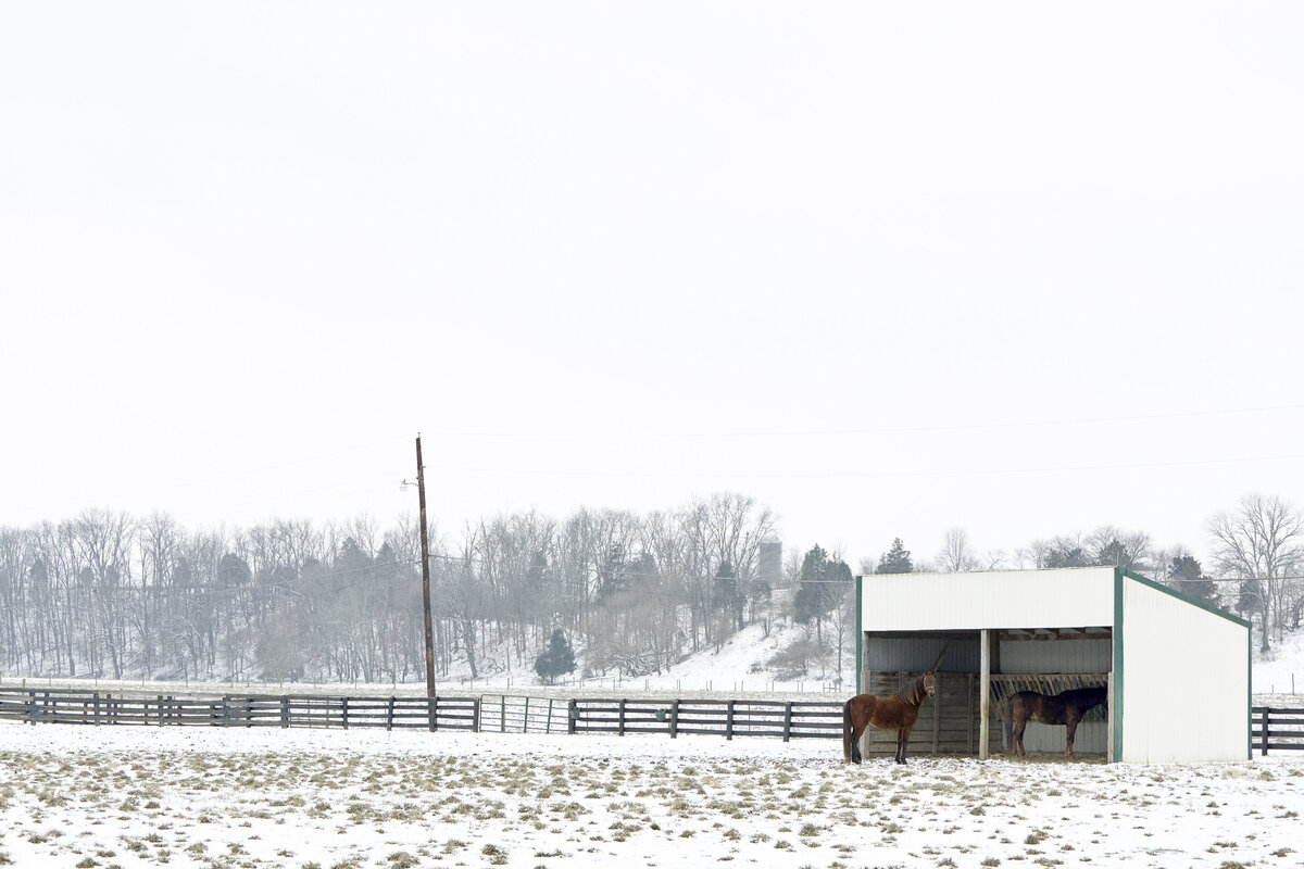 20130202_PROJECT_0040_01