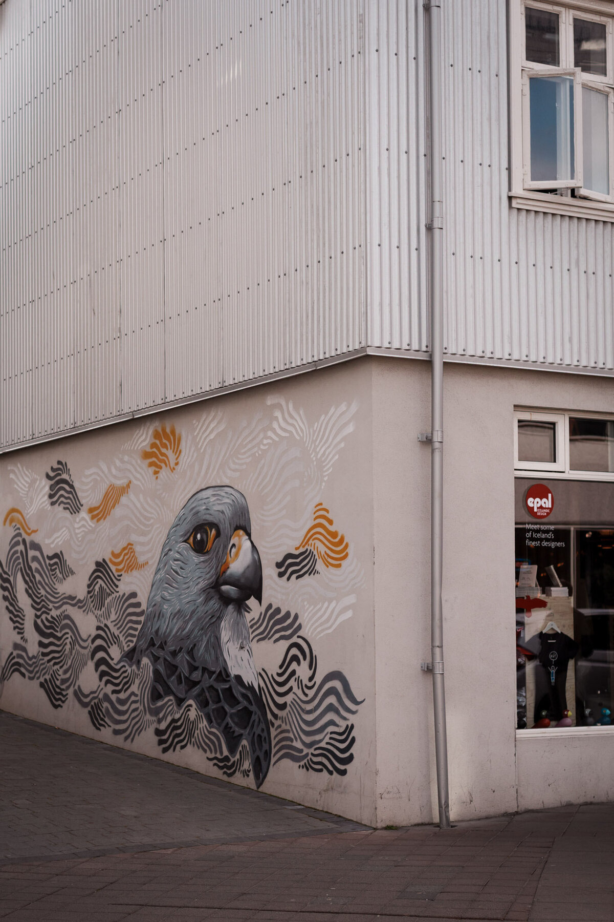 Iceland for Website-36