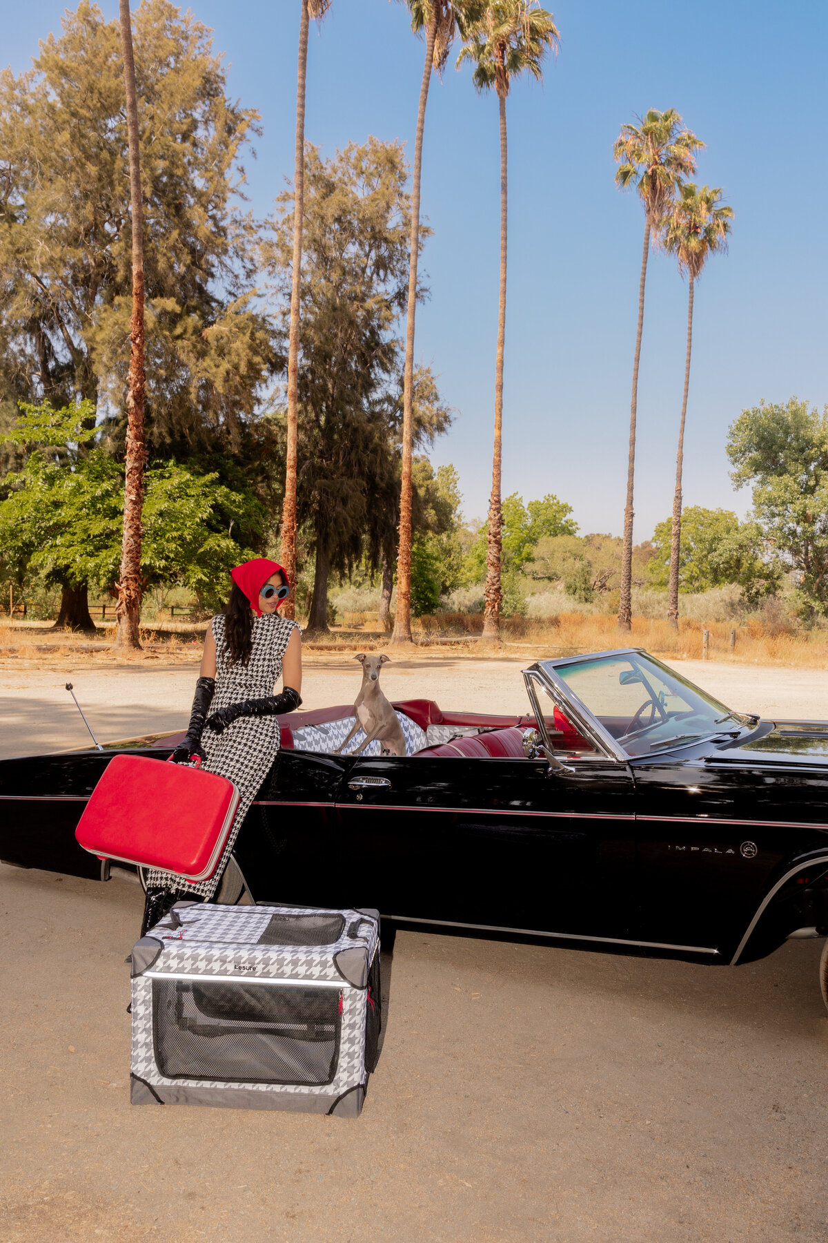 Lesure vintage car_-2