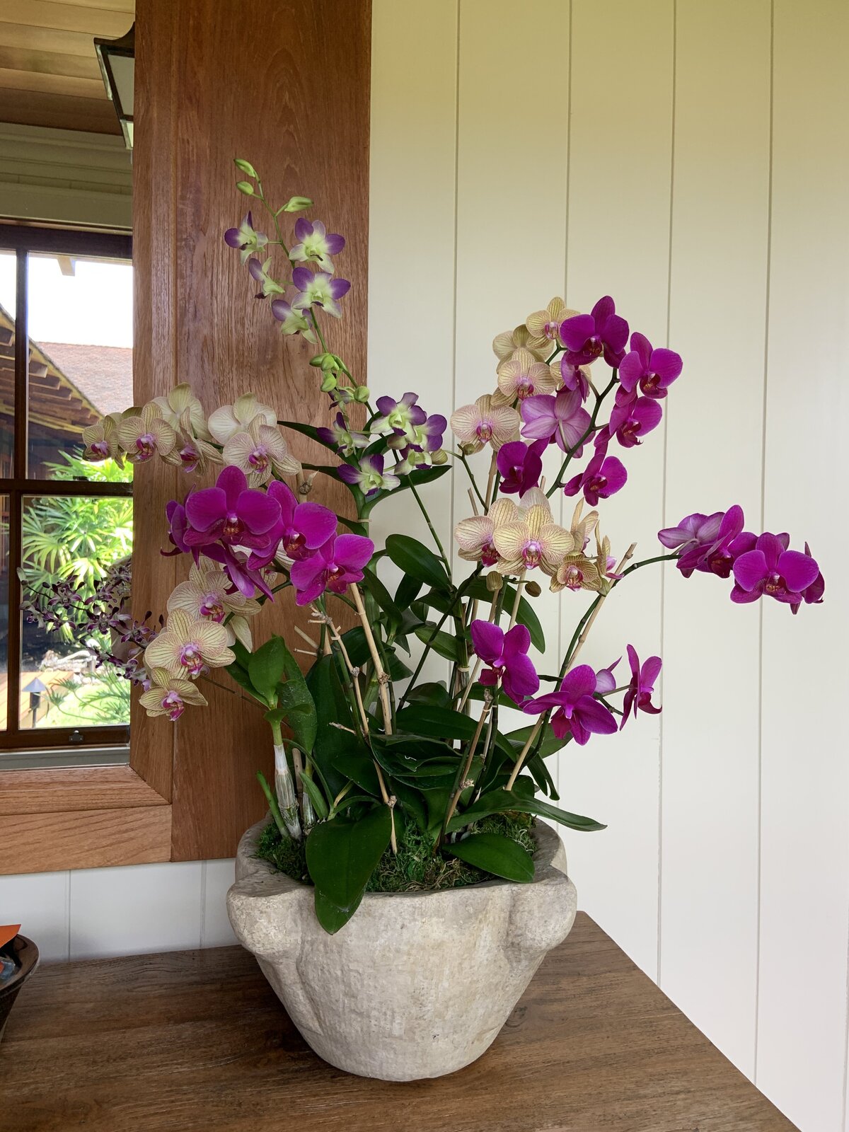 Multicolor orchid arrangement purple and yellow