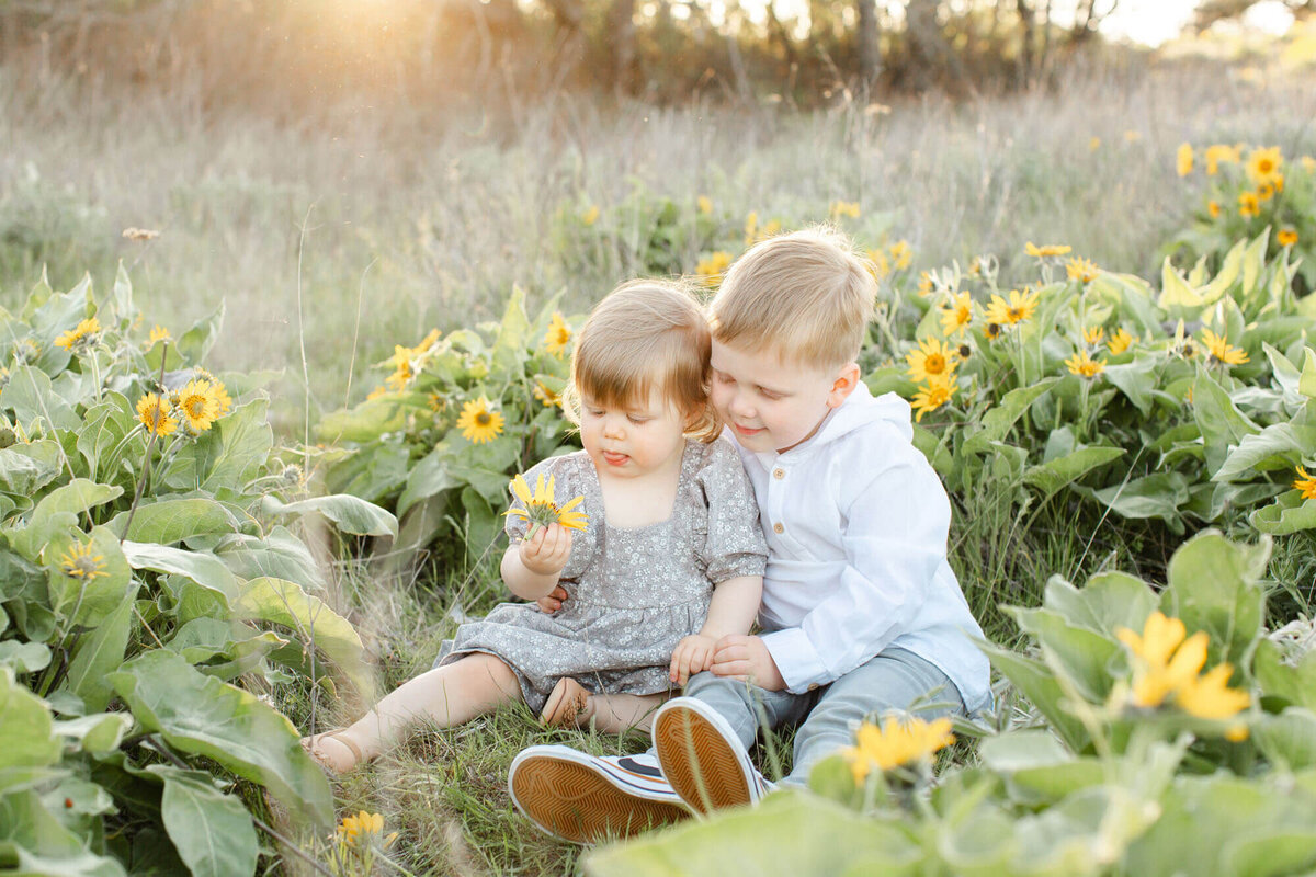 4 year old boy and 1.5 year old girl siblings sitting in a field of yellow wildflowers together. Girl is holding a flower and boy has his arm around her and is looking at the flower with her. They are wearing shades of white and grey.