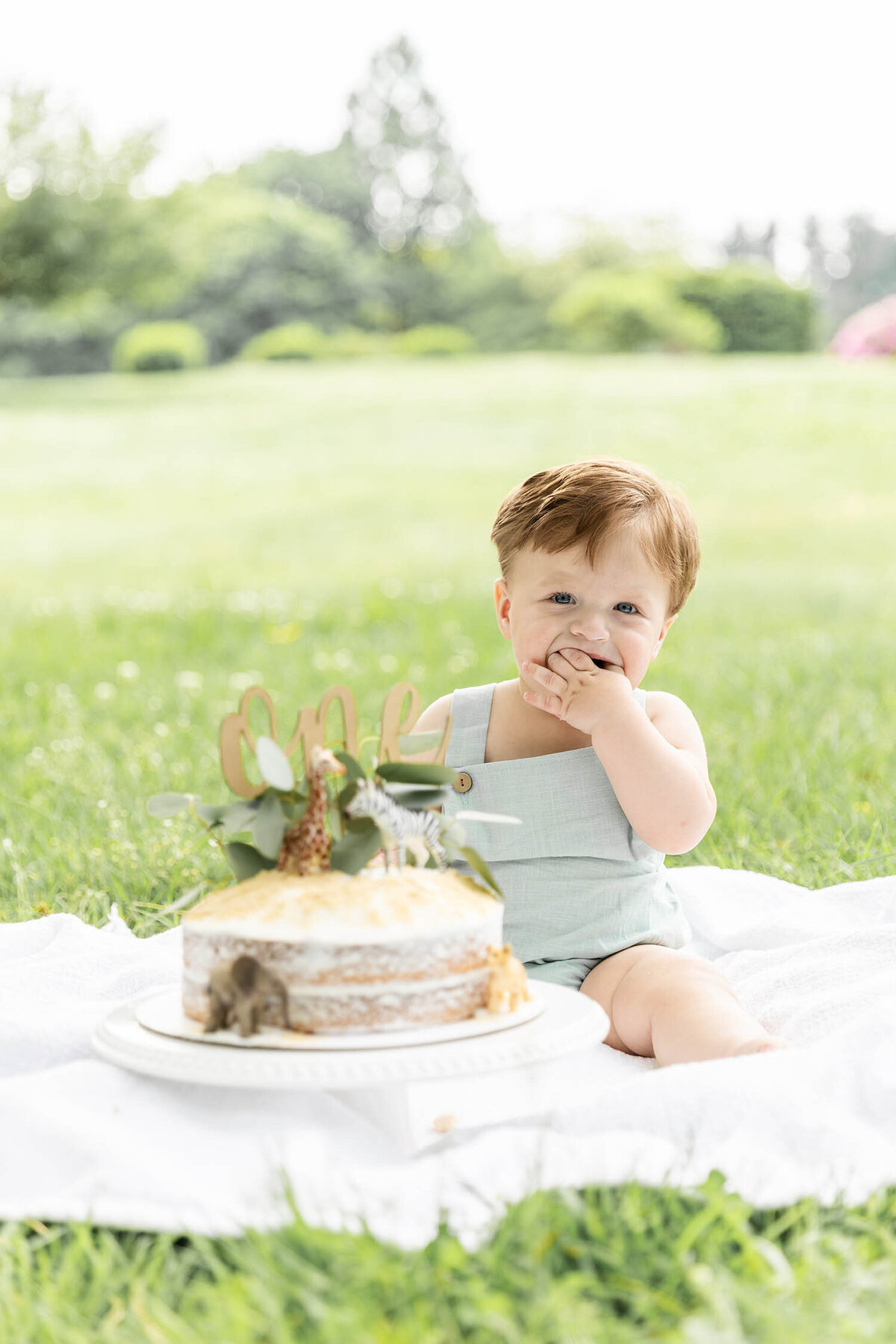 baby-first-birthday-cake-smash-photo-session-connecticut9