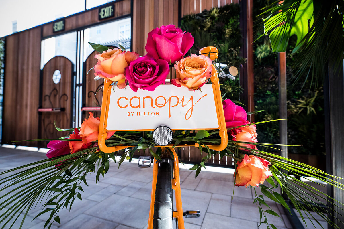 Canopy_Grand_Opening-62