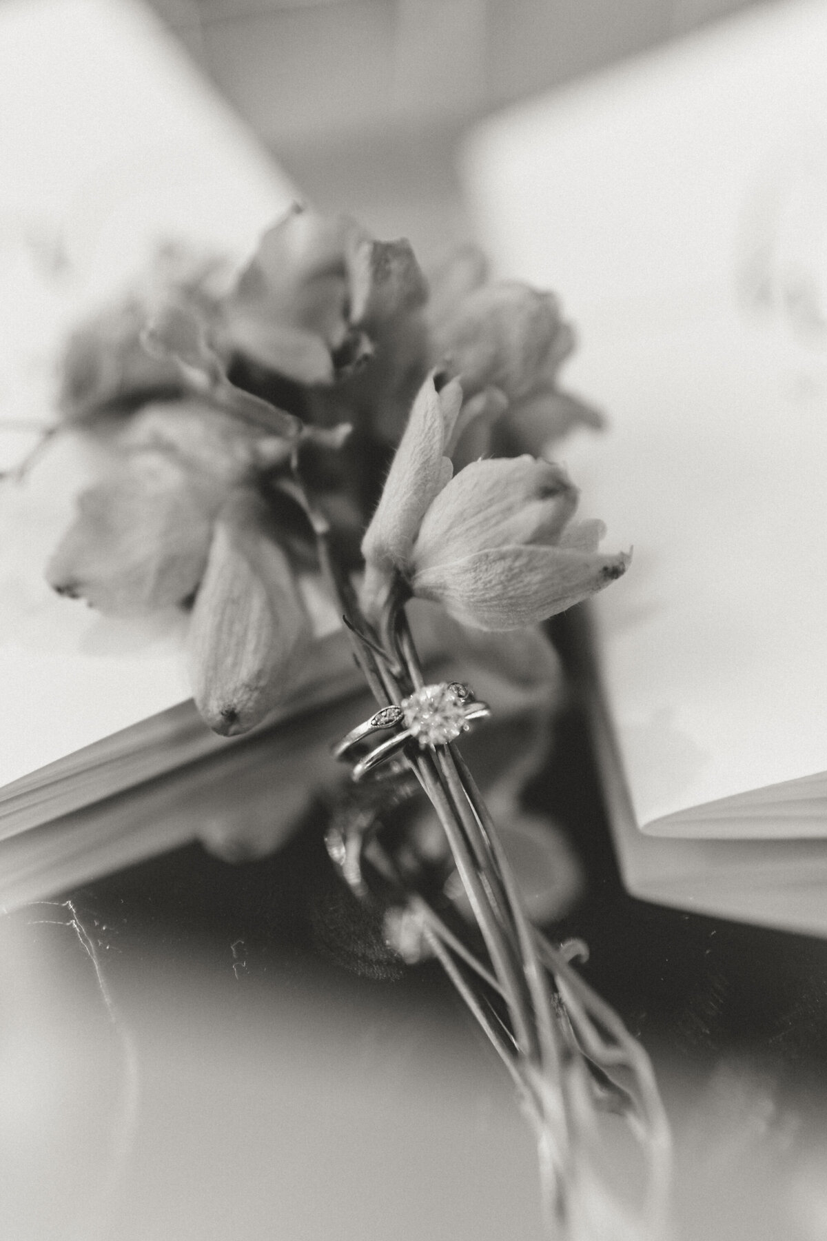 Lappin-wedding-wakefield-plantation-raleigh-nc-4