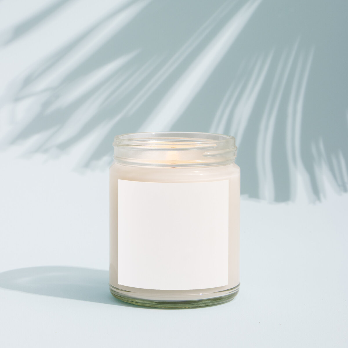 SummerPalm1
