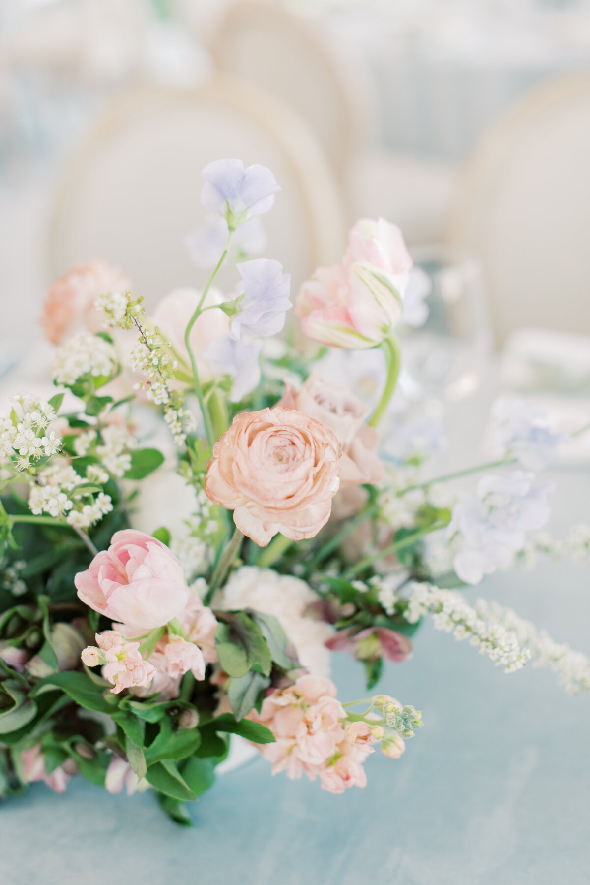 Reception-91