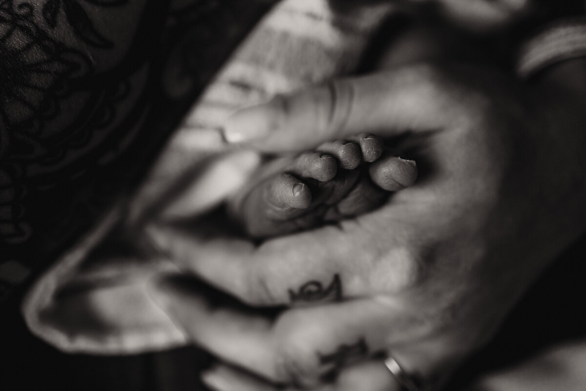 267A9764bw copy