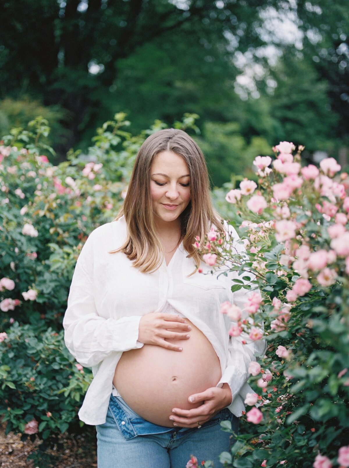 rose-garden-maternity-photos-northern-virginia-maternity-photographer2