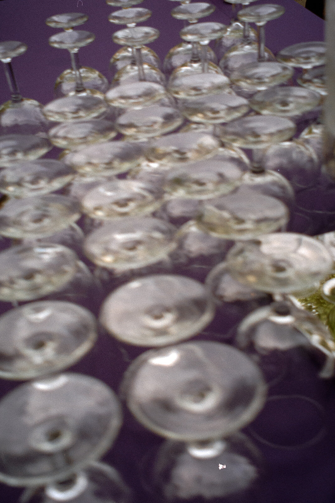 joan+canon_film-32