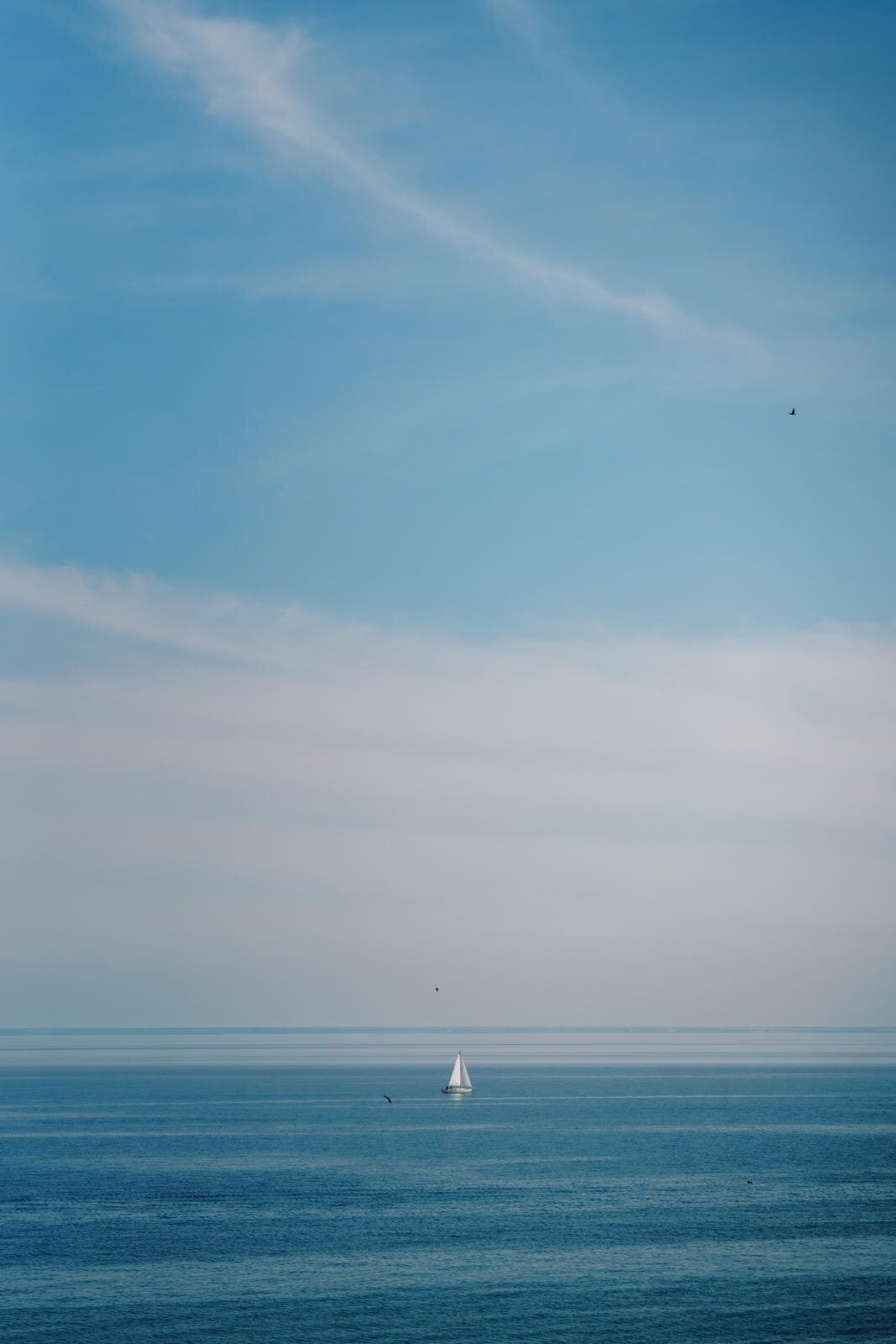 Photo for print-1004