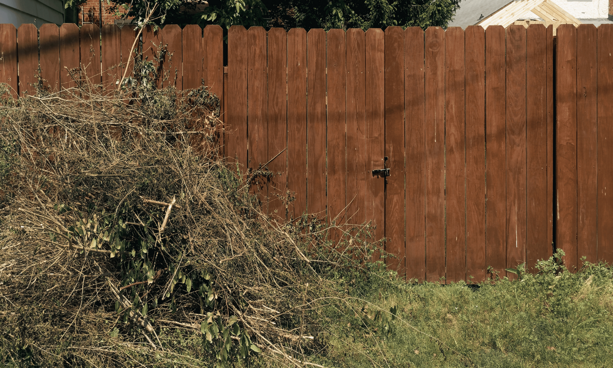 landscape brush removal services near Lititz, Pa 