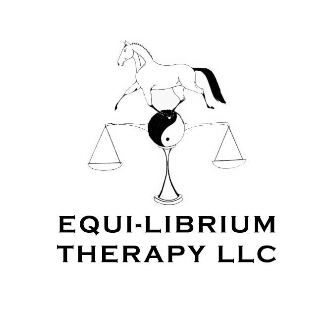 Equilibrium Logo smaller