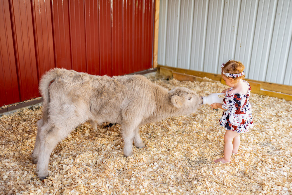 Children photos | Rekart Photography | Berger, Missouri_