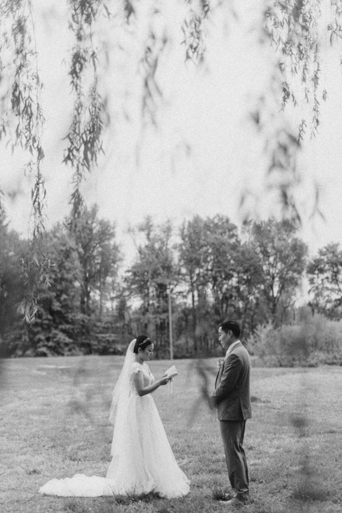 9556701800.jpg_exif1