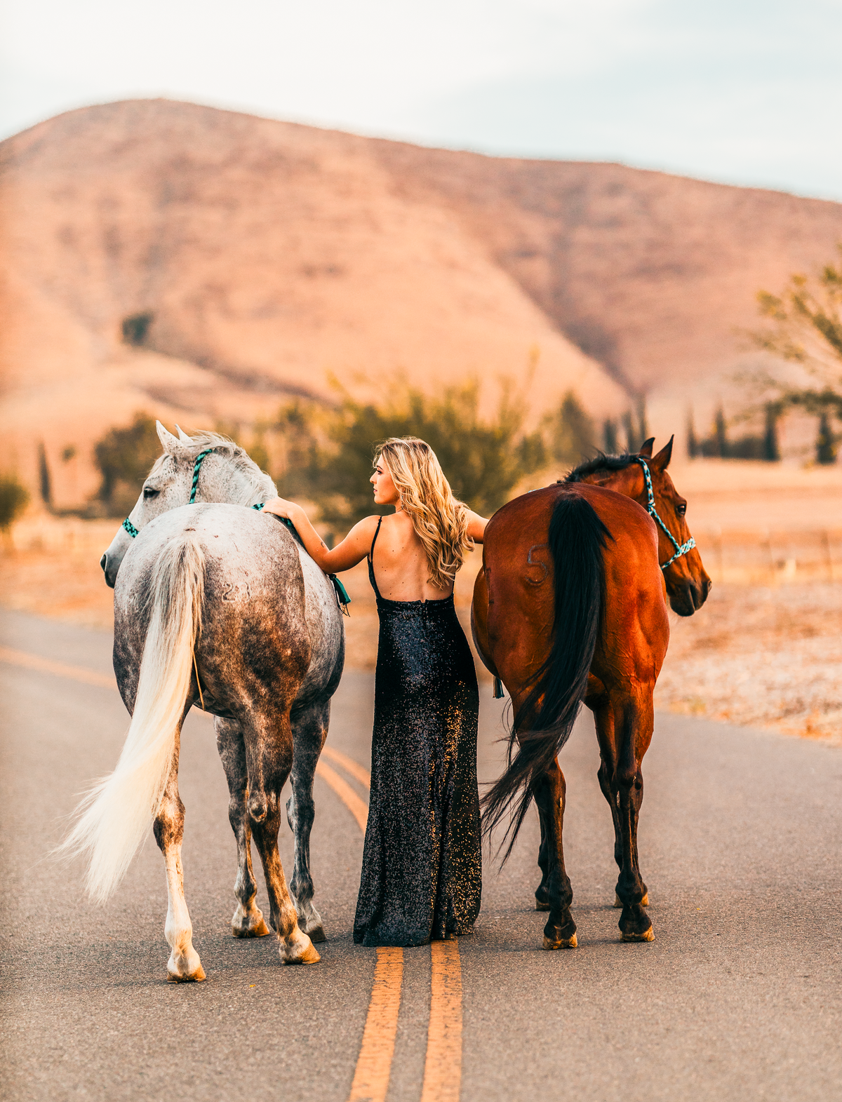 Haleyyyy2website
