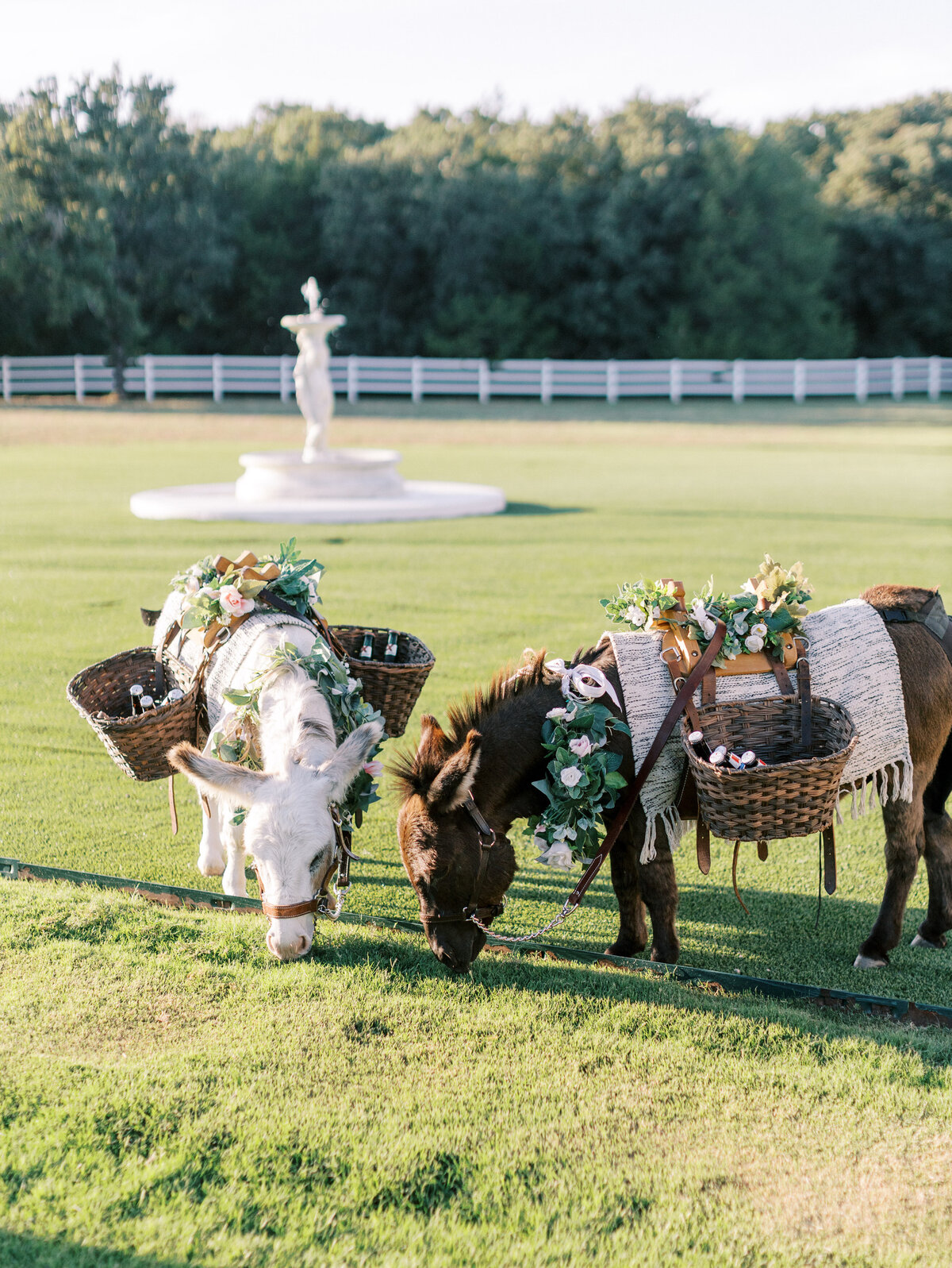cocktail-hour-photos-the-french-farmhouse-dallas-photographer-1