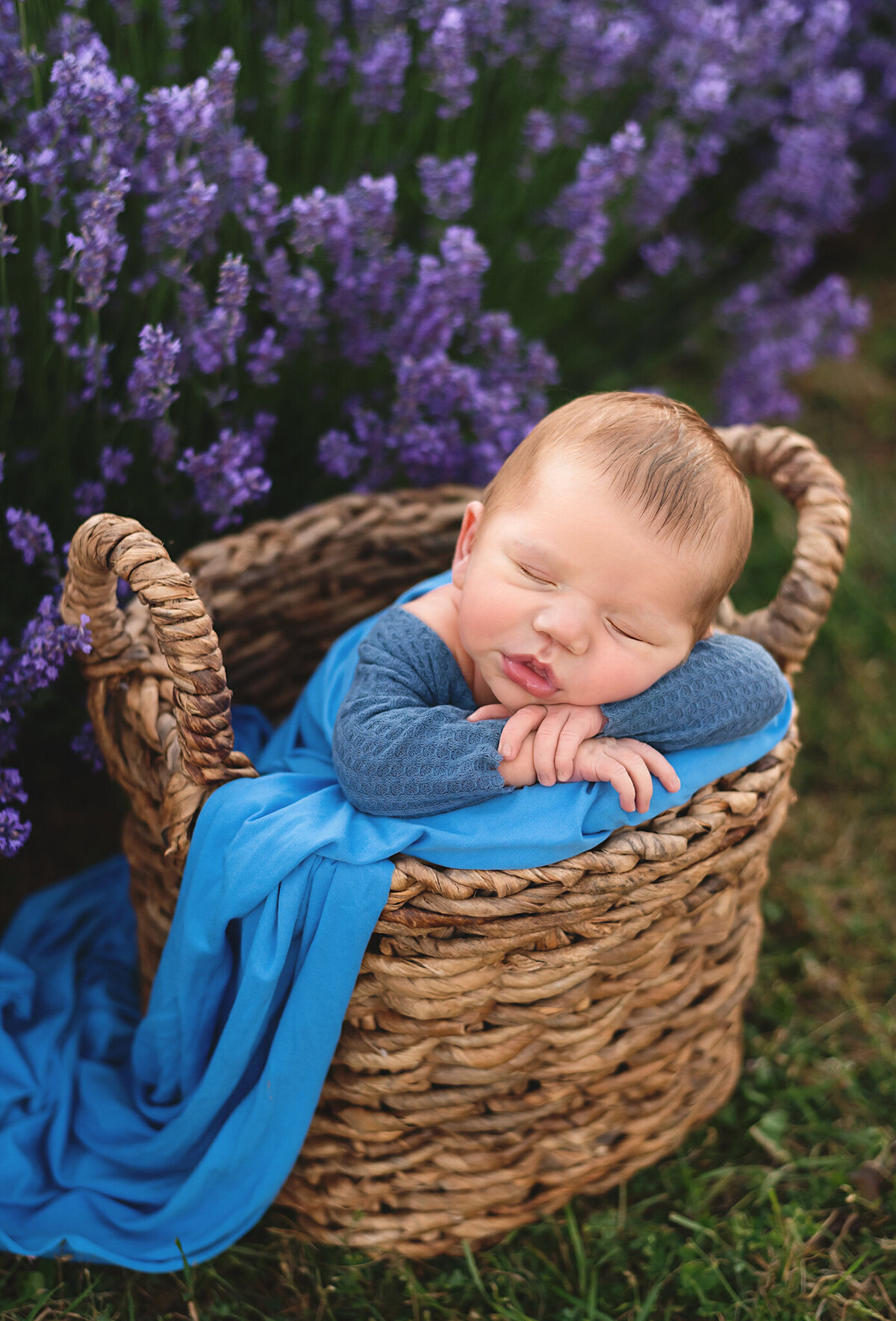 Newborn boy sleeping in a basket in NEOB Lavender field by Tamara Danielle, Greater Toronto Newborn Photographer.