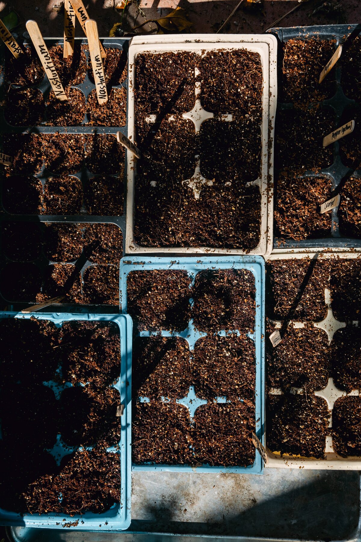 0035-the-ripe-org-farm-ventura-california-santa-paula-non-profit-0051