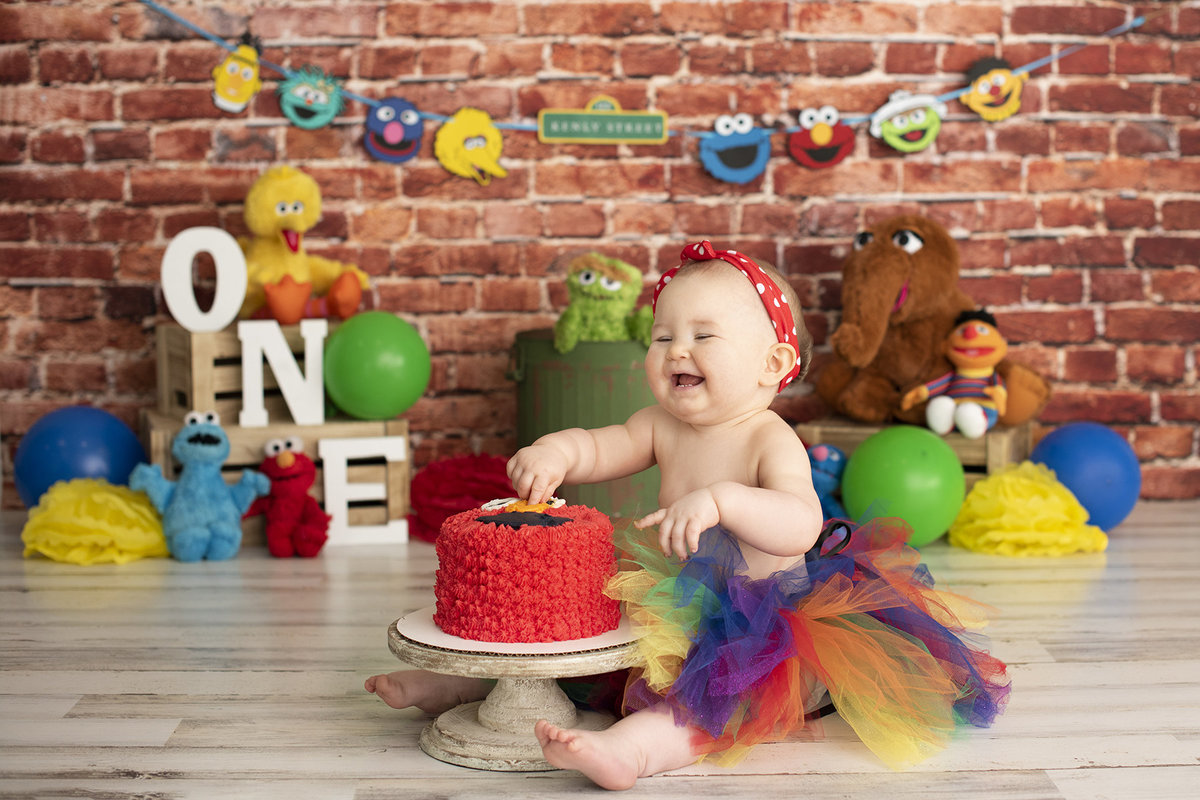 Cake Smash & 1st Birthday — Columbus Child Photographer