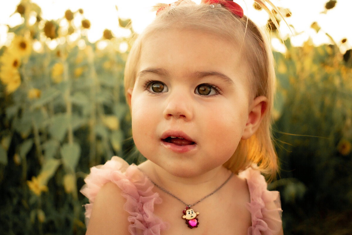 Indiana Family Photography _ Abby & Jonah Summer 23-045