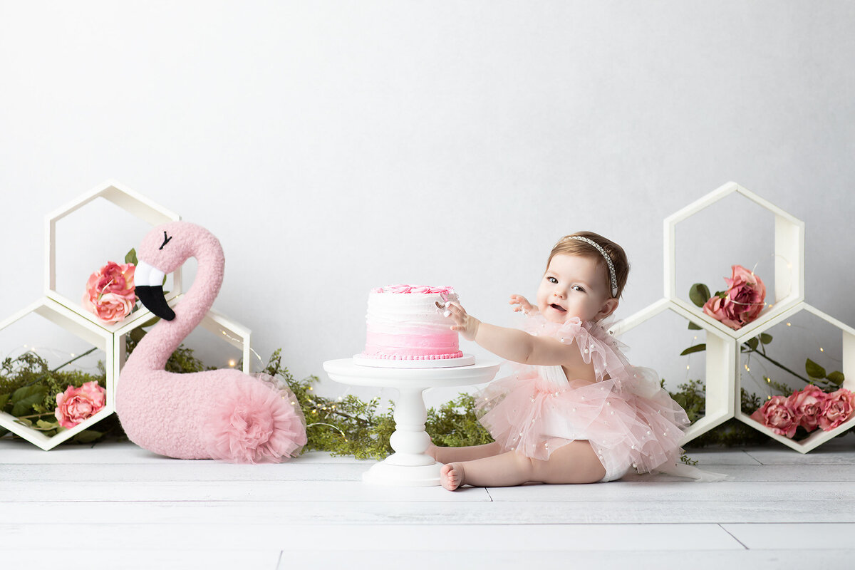 DFW milestone photographer showcases a baby girl in a pearl-accented pink tulle outfit reaching for her pink ombré cake, with floral decor and a plush flamingo adding whimsical charm.