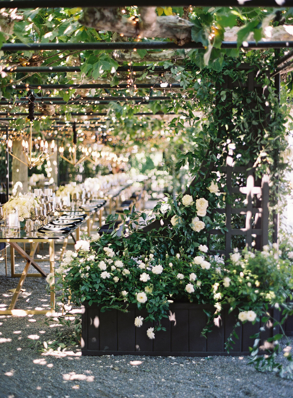 Modern-Wedding-Design-Beaulieu-Garden-Napa-Valley-Reception_010