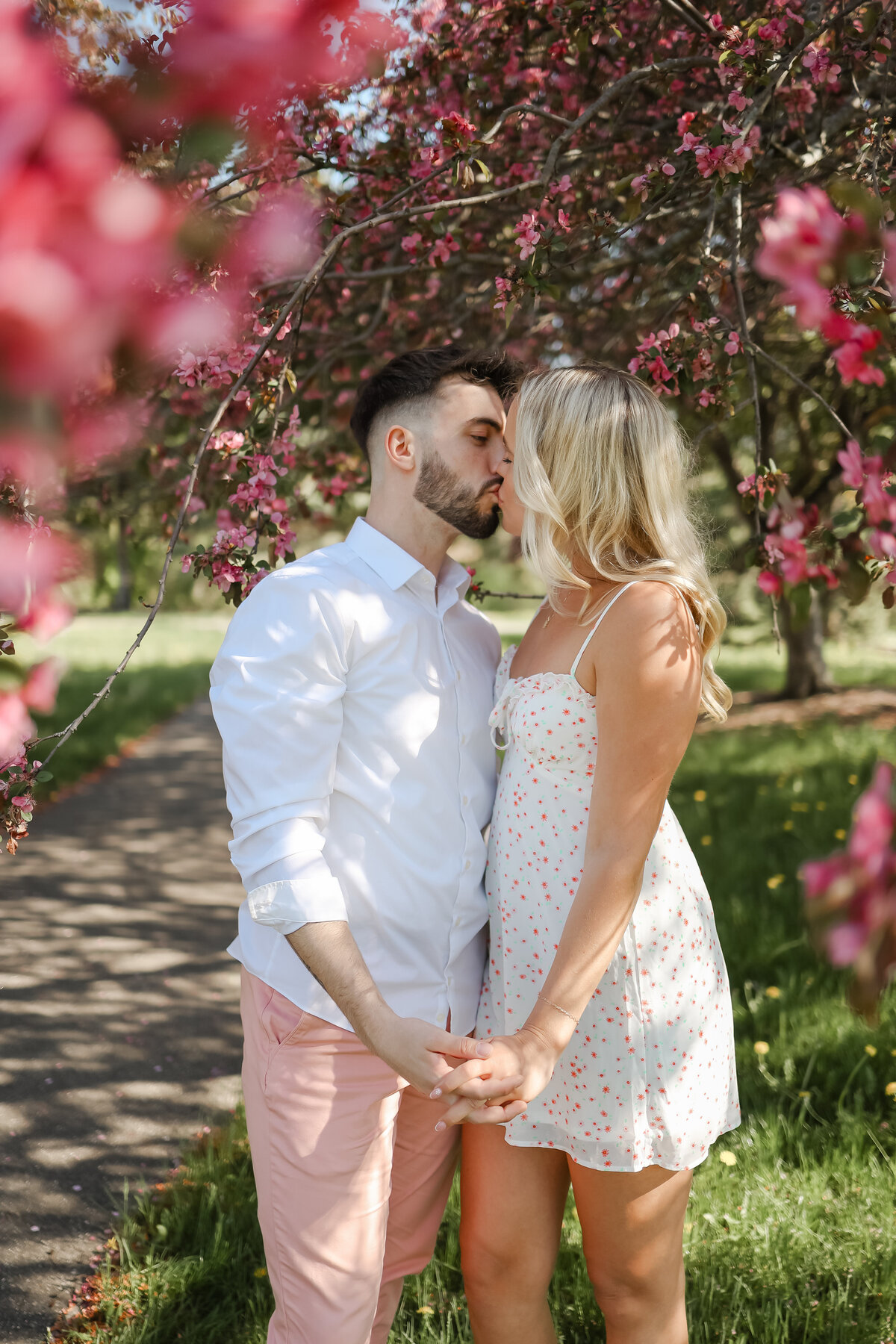 a couple holds hands while kissing underneath a plethora of pink cherry blossom flowering trees